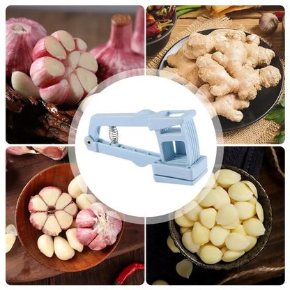 Garlic Press & Ginger Slicer 2-in-1 – Your Ultimate Kitchen Companion