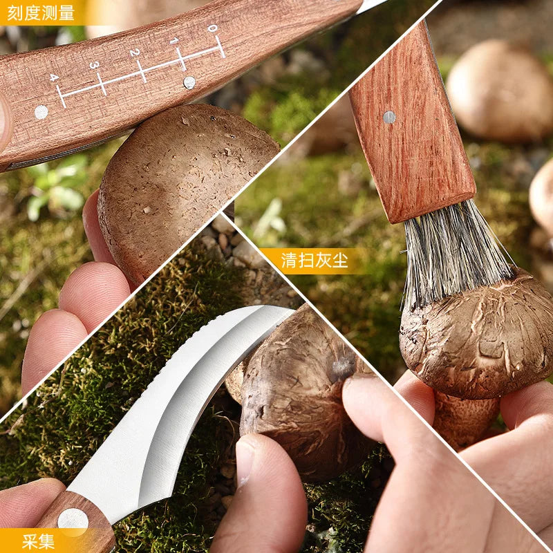 Mini Mushroom Knife Stainless Steel Wooden Handle Sharp Picking Knife Hard Stainless Steel Multifunctional knife to mushrooms